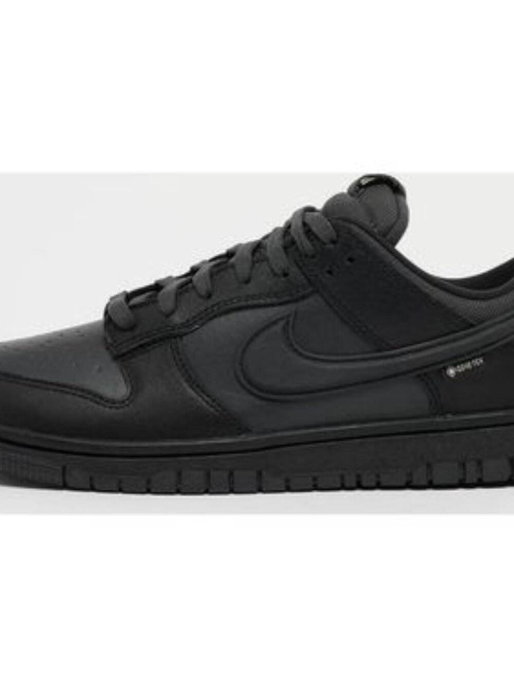 Nike Dunk Low GORE-TEX